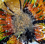 Italian GEL Keratin - Champagne