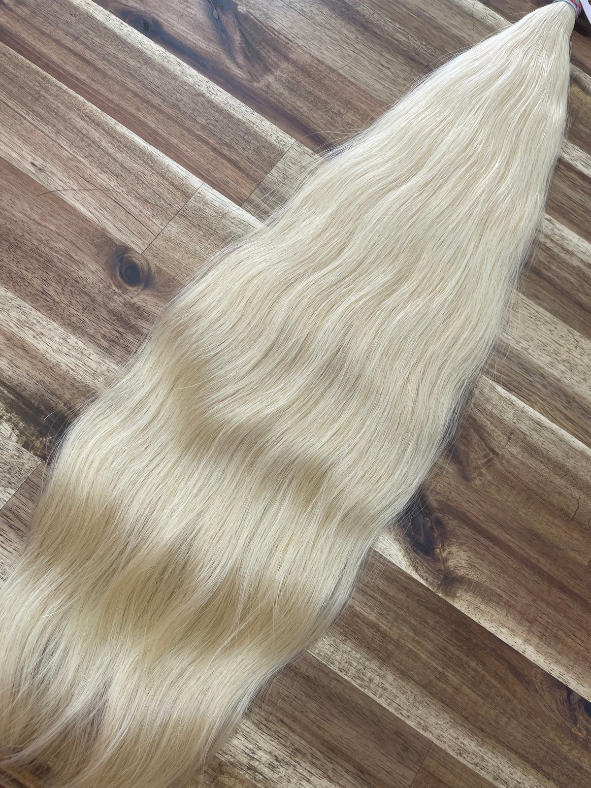 Cassia 22"|105 grams Raw Bulk